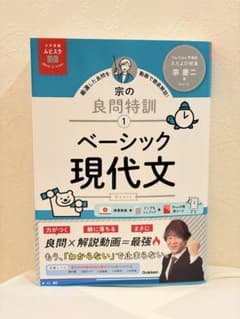 【最安値】ムビスタ 宗の良問特訓①ベーシック現代文のサムネイル