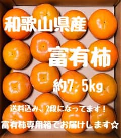 和歌山県産富有柿 約7.5kgのサムネイル