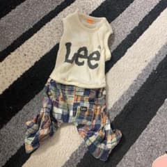 lee ドッグウェアのサムネイル