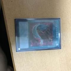 ハーピィの羽根箒のサムネイル