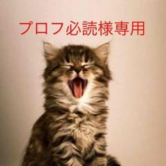 スイマーバ  / Swimavaのサムネイル