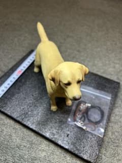 リアル ラブラドールレトリバー 犬フィギュア 付属リード付き 置物 模型