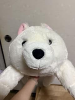 サモエド ぬいぐるみのサムネイル