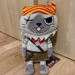 몬스터 헌터 친구 아이루