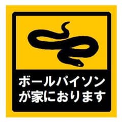 ボールパイソン家におります UVカット ステッカーのサムネイル
