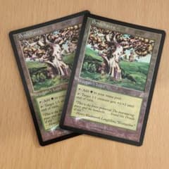 TSB ペンデルヘイヴン MTG 2枚 foil 英語 TSB ペンデルヘイヴン MTG 英語 メルカリ - 2枚 foil マジック：ザ・ギャザリング