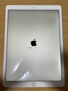 【バード様専用】iPad Pro Wi-Fi 128GB 第1世代のサムネイル