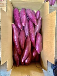 徳島県産なると金時 生産者直送 鳴門金時 3kg 3キロ - メルカリ