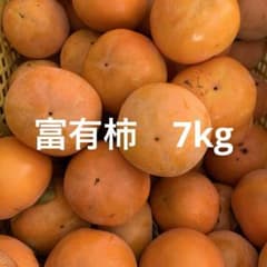 富有柿　7キロ 家庭用のサムネイル