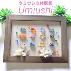 シーグラスアート❣️ウミウシ立体図鑑♡アクアリウム 海の贈り物