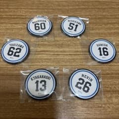 埼玉西武ライオンズ 缶バッジ 6種セット - メルカリ