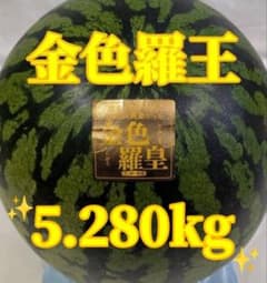 687匿名発送！千葉県産　金色羅皇スイカ　高糖度　5.280kg１玉のサムネイル