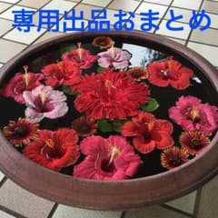 まあちゃん★様専用のサムネイル