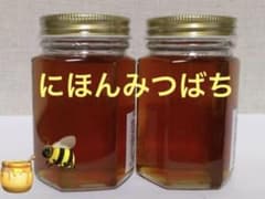 超濃厚な本物の蜂蜜☆ 170g入り×２瓶 結晶化していますのサムネイル