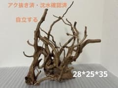 21004 ブランチウッド 流木 アクアリウム 沈水確認済 - メルカリ