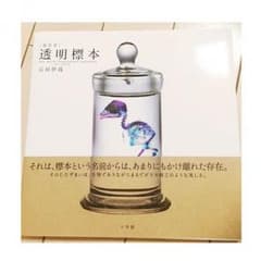 透明標本のサムネイル
