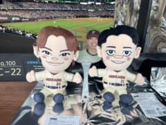 北海道日本ハムファイターズ ぬいぐるみ 2体 (田宮と清宮)+ 五十幡