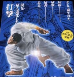 一番くじ 刃牙～巨大なる鼓動～C賞 愚地克巳 MASTERLISEッッ！ - メルカリ