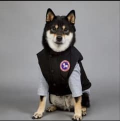カナダドッグース 犬用 中綿ジャケット 高級ダウン風 ドッグウェア 秋冬のサムネイル