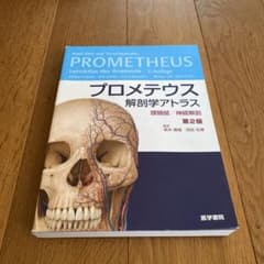プロメテウス解剖学アトラス 頭頸部/神経解剖のサムネイル