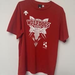 『 超希少』DESCENTE WOLFDOGS NAGOYA Tシャツのサムネイル
