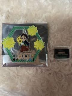 ニジゲンノモリ限定ゆらゆらアクリルスタンド竈門炭治郎のサムネイル