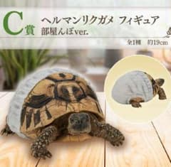 이치 반 쿠지 파충류 C상 헤르만릭 거북이 피규어 방포포 ver.