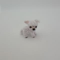 モールアート　チワワの赤ちゃん　ミニチュアのサムネイル
