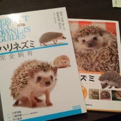 ハリネズミ飼育本セットのサムネイル