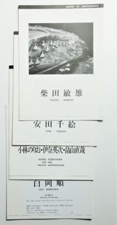 柴田敏雄　白岡順　安田千絵　他　川崎市民ミュージアム　リーフレット　全4点 柴田敏雄 白岡順 安田千絵 他 川崎市民ミュージアム リーフレット 全4