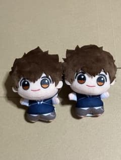 가정 교사 히트맨 REBORN! 치비구루미 마스코트 사와다 츠나요시 & 리본