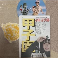 あいみょん 10th甲子園ライブ うちわ・新聞セット てんてんてん 7/15