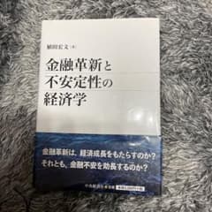金融革新と不安定性の経済学のサムネイル