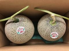 北海道 らいでん  メロン 赤肉 秀品 ２玉入のサムネイル