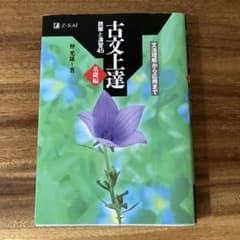 古文上達 : 読解と演習45 基礎編のサムネイル