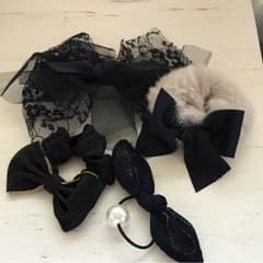 値下げ☆ シュシュ、ヘアゴムなど セット☆のサムネイル