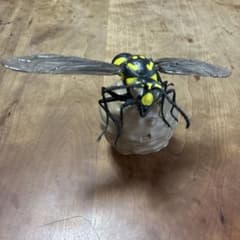 生き物大図鑑 とっくりばち ハラナガスズバチ　(レア枠)のサムネイル