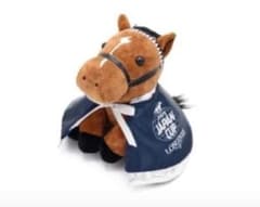 Welcomeチャンス　特別版　ドウデュース　ジャパンカップ　ウェルカムチャンス JRA Welcomeチャンス！特別版 ドウデュース 2024年ジャパンカップ