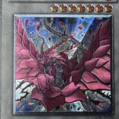 な*ち様 【極美品】遊戯王 ブラックローズドラゴン CSOC-JP039 レリー