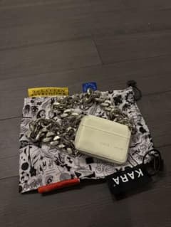 KARA bagのサムネイル