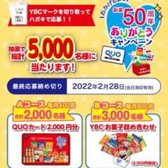 ヤマザキビスケット キャンペーン 運試しのサムネイル