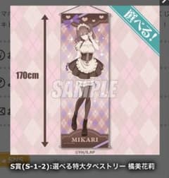 〖もつ山様専用〗 橘美花莉 S賞のサムネイル