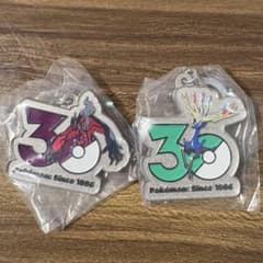 ポケモン30周年 メタルチャームマスコット ゼルネアス・イベルタルのサムネイル