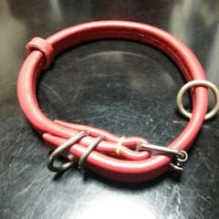 犬用首輪のサムネイル