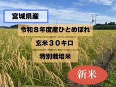 令和8年産 特別栽培米 宮城県ひとめぼれ 玄米30kg 送料無料 精米無料のサムネイル