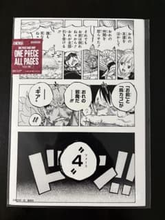 ONE PIECE ALL PAGES 드레스 로저 편