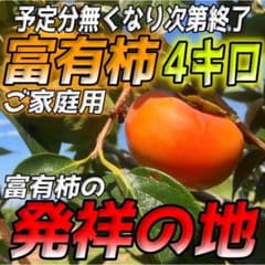 【今週発送】岐阜県瑞穂市産☆富有柿４キロ☆☆のサムネイル