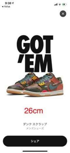 NIKE ダンク LOW  スクラップのサムネイル