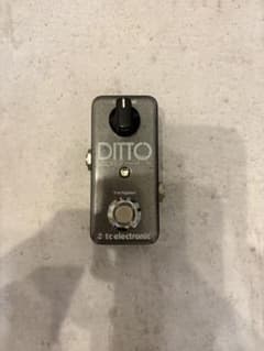 tc electronic DITTO LOOPER 本体のサムネイル
