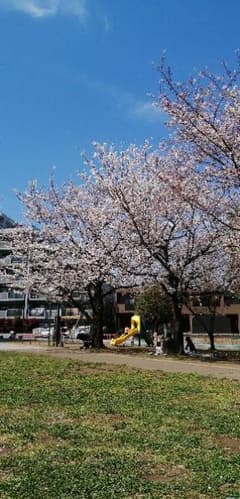 専用のサムネイル